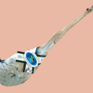 PROSCIUTTO DI DAINO