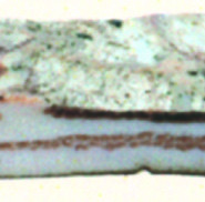 PANCETTA STESA AFFUMICATA