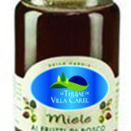 MIELE AI FRUTTI DI BOSCO