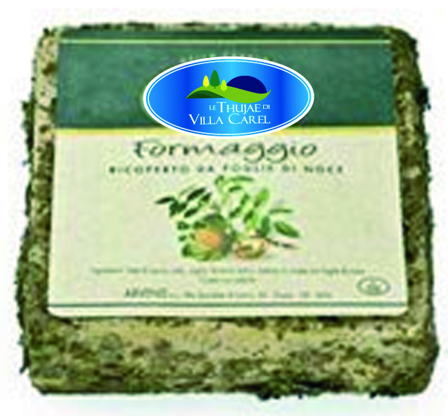 FORMAGGIO RICOPERTO DA FOGLIE DI NOCE