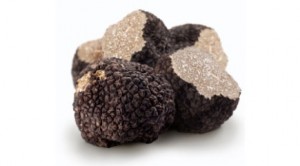 Tartufo-nero