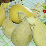 IL CACIOCAVALLO