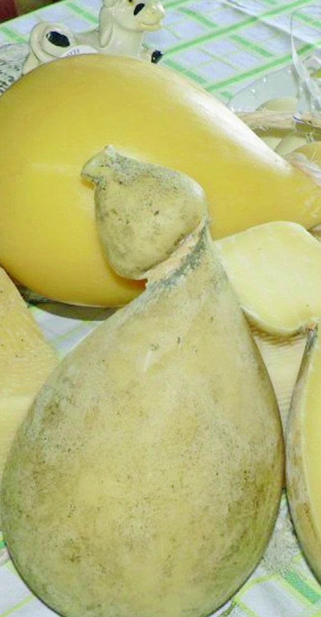 IL CACIOCAVALLO
