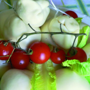 LA SCAMORZA
