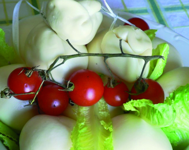 LA SCAMORZA