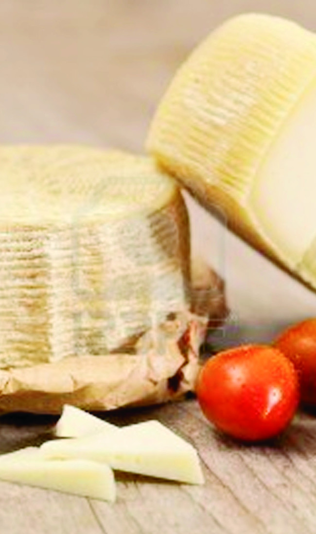 IL PECORINO