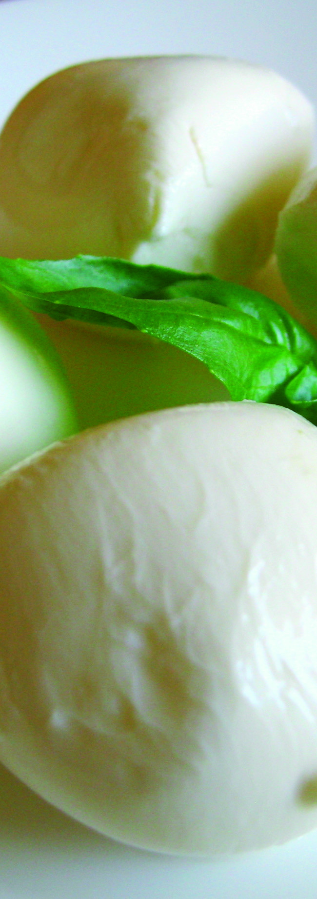 I BOCCONCINI