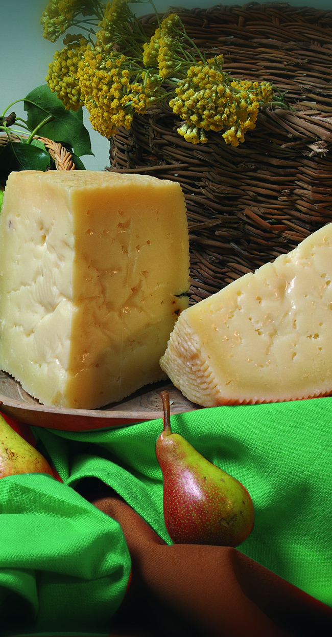 IL FORMAGGIO DI VACCA