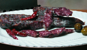 Opuscolo Romano 24 pagg-11