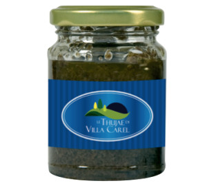 salsa tart